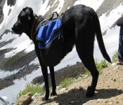 Montana 09 066